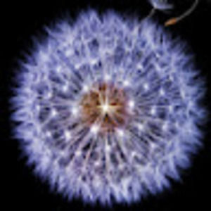 Meet your Posher, Christie